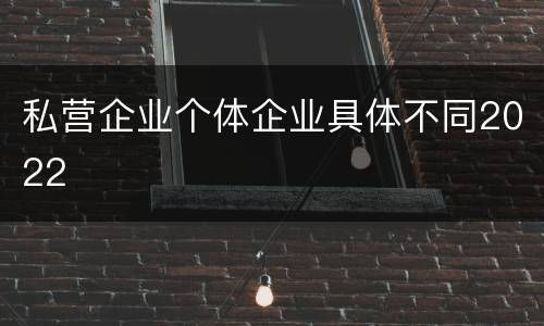 私营企业个体企业具体不同2022