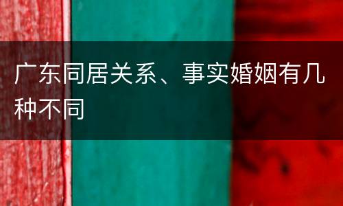 广东同居关系、事实婚姻有几种不同