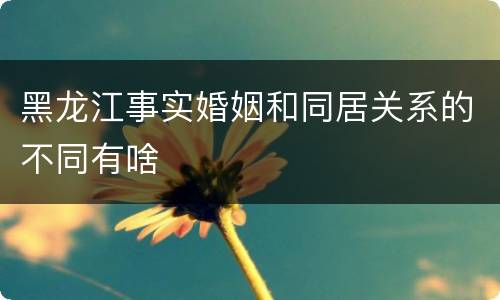 黑龙江事实婚姻和同居关系的不同有啥