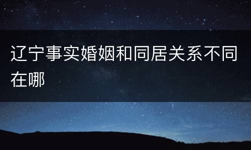 辽宁事实婚姻和同居关系不同在哪