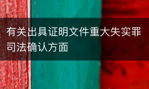 有关出具证明文件重大失实罪司法确认方面