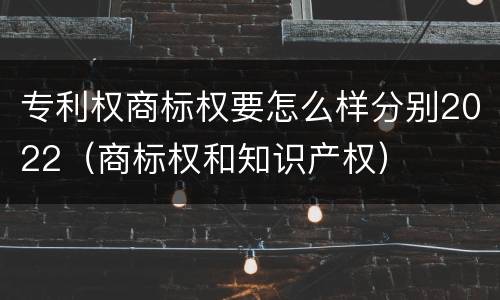 专利权商标权要怎么样分别2022（商标权和知识产权）