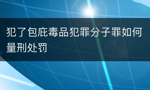 犯了包庇毒品犯罪分子罪如何量刑处罚