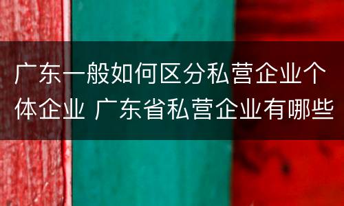 广东一般如何区分私营企业个体企业 广东省私营企业有哪些