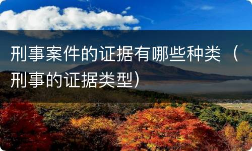 刑事案件的证据有哪些种类（刑事的证据类型）