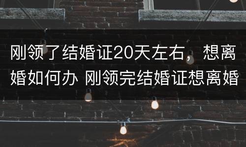 刚领了结婚证20天左右，想离婚如何办 刚领完结婚证想离婚怎么办