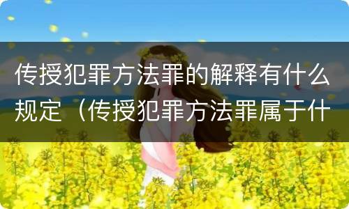 传授犯罪方法罪的解释有什么规定（传授犯罪方法罪属于什么罪）