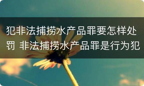 犯非法捕捞水产品罪要怎样处罚 非法捕捞水产品罪是行为犯吗