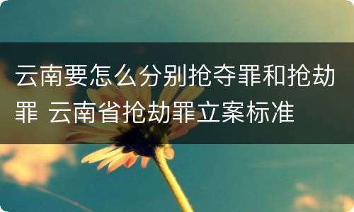 云南要怎么分别抢夺罪和抢劫罪 云南省抢劫罪立案标准