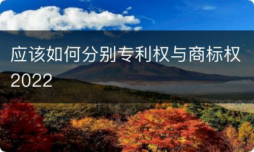 应该如何分别专利权与商标权2022