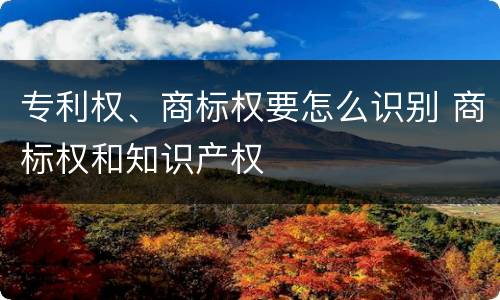 专利权、商标权要怎么识别 商标权和知识产权