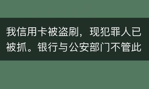 我信用卡被盗刷，现犯罪人已被抓。银行与公安部门不管此事。我如何能取回款项呢项呢