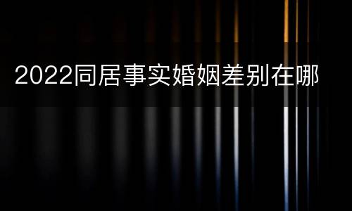 2022同居事实婚姻差别在哪