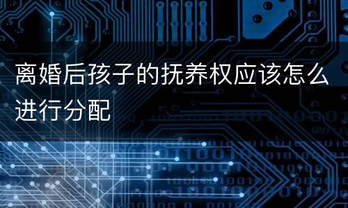 离婚后孩子的抚养权应该怎么进行分配