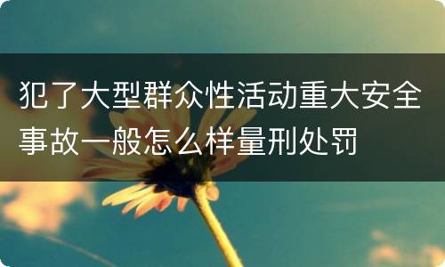 犯了大型群众性活动重大安全事故一般怎么样量刑处罚