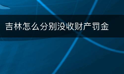 吉林怎么分别没收财产罚金