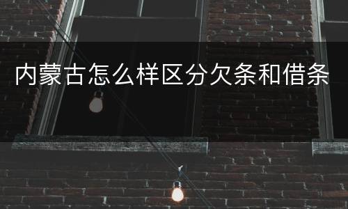 内蒙古怎么样区分欠条和借条