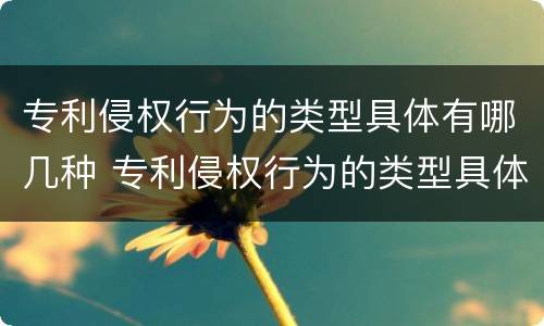 专利侵权行为的类型具体有哪几种 专利侵权行为的类型具体有哪几种方式