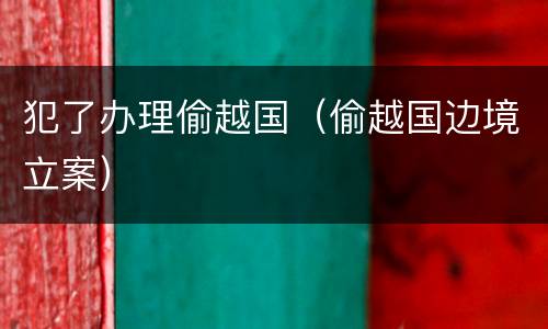 犯了办理偷越国（偷越国边境立案）