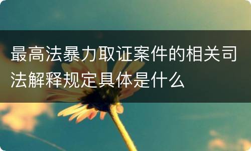 最高法暴力取证案件的相关司法解释规定具体是什么