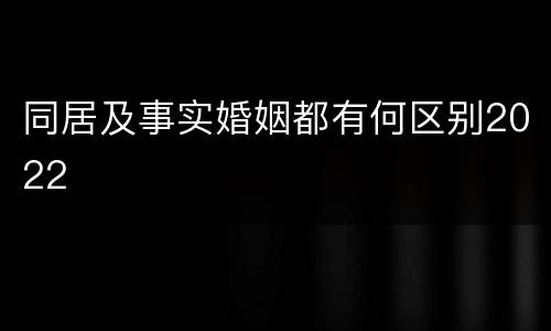 同居及事实婚姻都有何区别2022