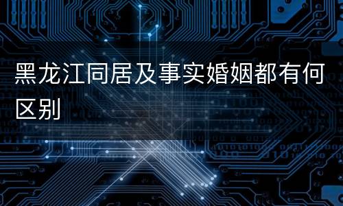 黑龙江同居及事实婚姻都有何区别