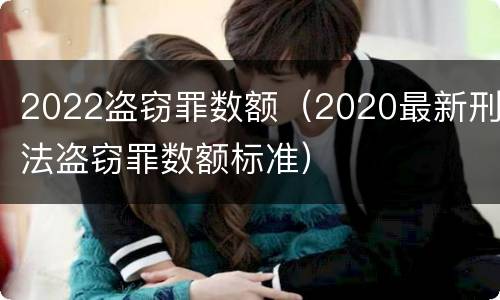 2022盗窃罪数额（2020最新刑法盗窃罪数额标准）