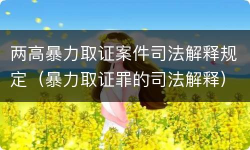 两高暴力取证案件司法解释规定（暴力取证罪的司法解释）