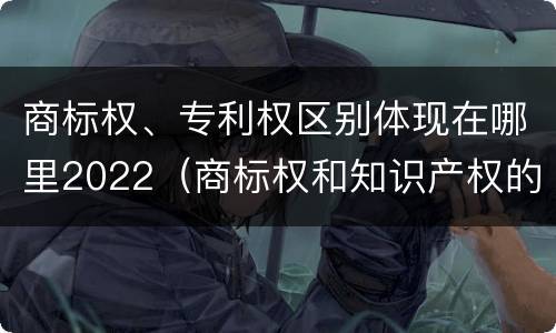 商标权、专利权区别体现在哪里2022（商标权和知识产权的区别）