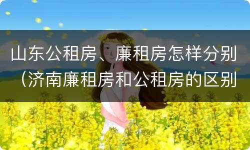 山东公租房、廉租房怎样分别（济南廉租房和公租房的区别）