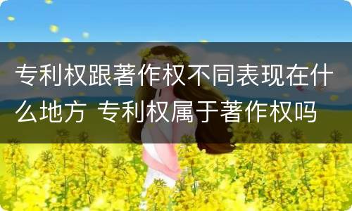 专利权跟著作权不同表现在什么地方 专利权属于著作权吗