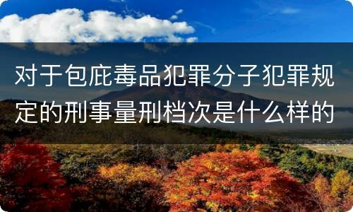 对于包庇毒品犯罪分子犯罪规定的刑事量刑档次是什么样的