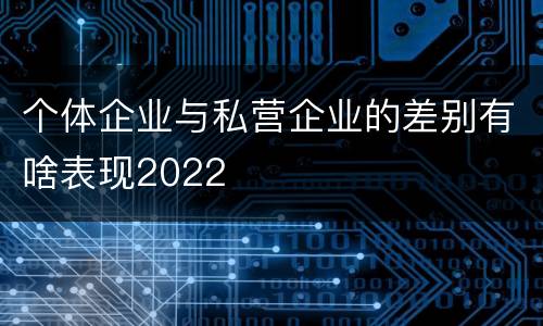 个体企业与私营企业的差别有啥表现2022