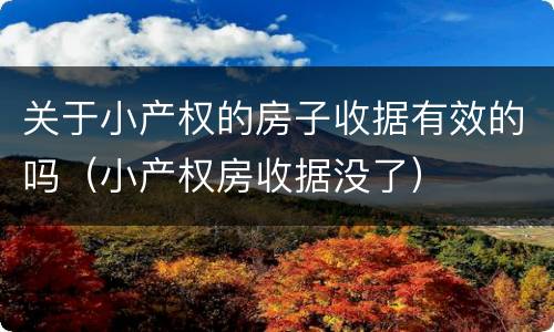 关于小产权的房子收据有效的吗（小产权房收据没了）