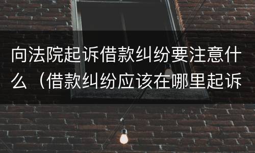 向法院起诉借款纠纷要注意什么（借款纠纷应该在哪里起诉）
