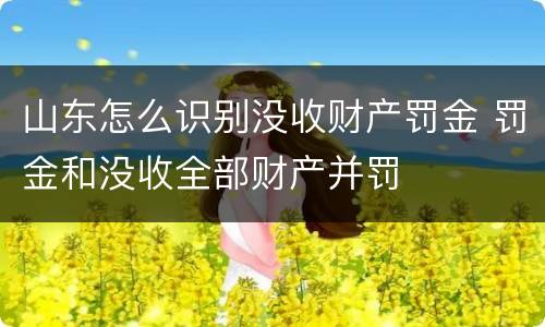 山东怎么识别没收财产罚金 罚金和没收全部财产并罚