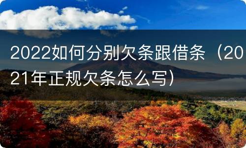 2022如何分别欠条跟借条（2021年正规欠条怎么写）