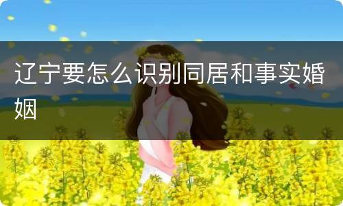 辽宁要怎么识别同居和事实婚姻