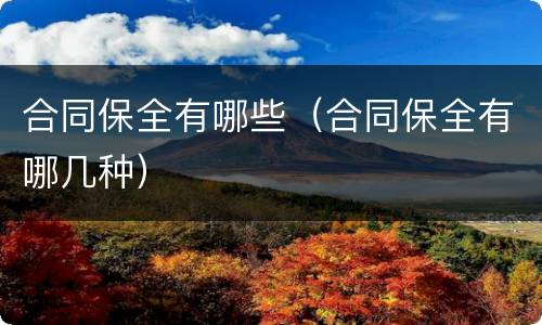 合同保全有哪些（合同保全有哪几种）