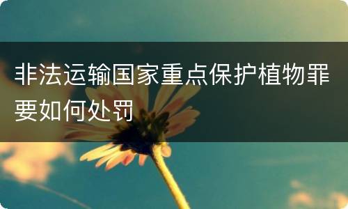 非法运输国家重点保护植物罪要如何处罚