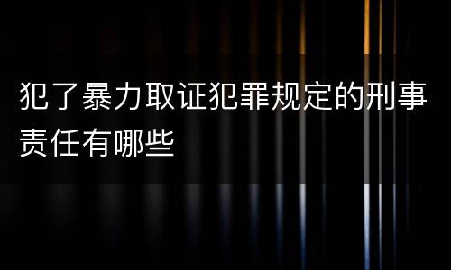 犯了暴力取证犯罪规定的刑事责任有哪些