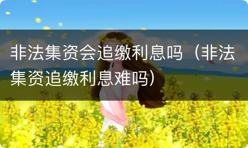 非法集资会追缴利息吗（非法集资追缴利息难吗）