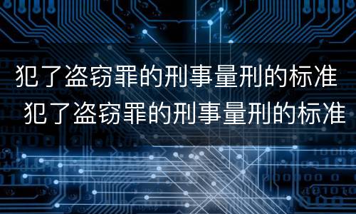 犯了盗窃罪的刑事量刑的标准 犯了盗窃罪的刑事量刑的标准是