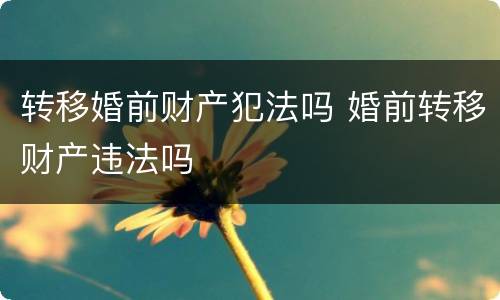 转移婚前财产犯法吗 婚前转移财产违法吗