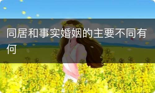 同居和事实婚姻的主要不同有何