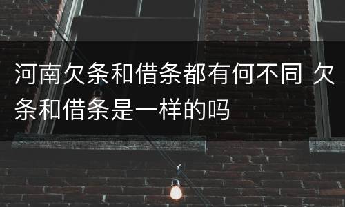 河南欠条和借条都有何不同 欠条和借条是一样的吗