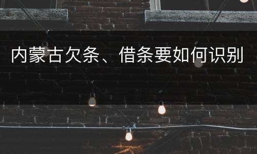 内蒙古欠条、借条要如何识别