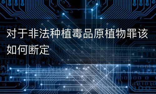 对于非法种植毒品原植物罪该如何断定