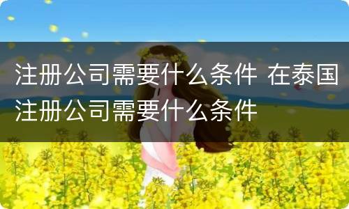 注册公司需要什么条件 在泰国注册公司需要什么条件