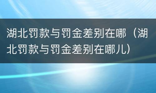 湖北罚款与罚金差别在哪（湖北罚款与罚金差别在哪儿）